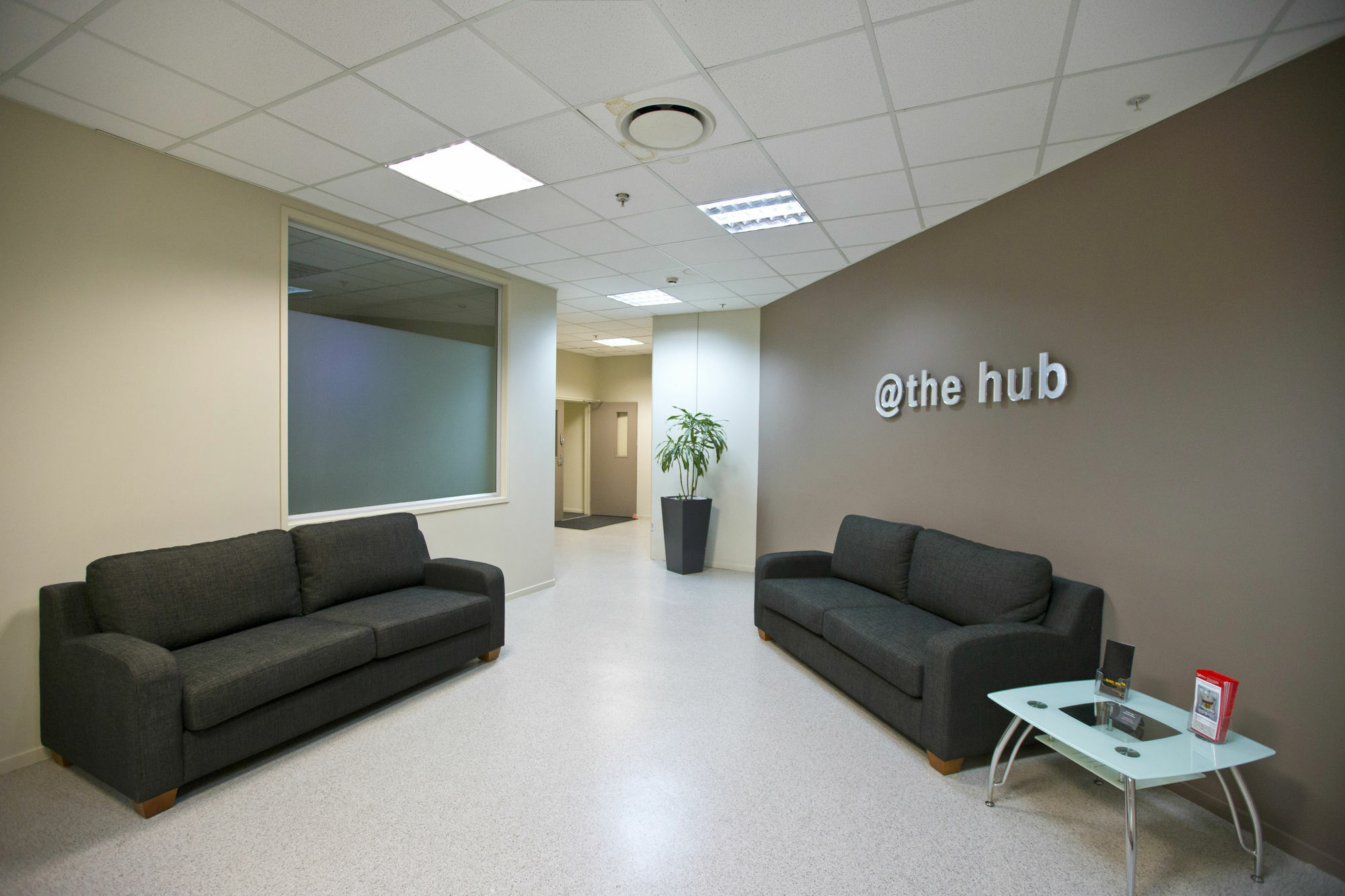 @ The Hub West Aparthotel พาล์เมอร์สตันนอร์ท ภายนอก รูปภาพ